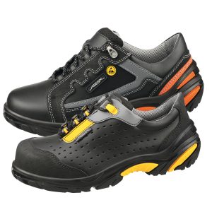 esd Trainer