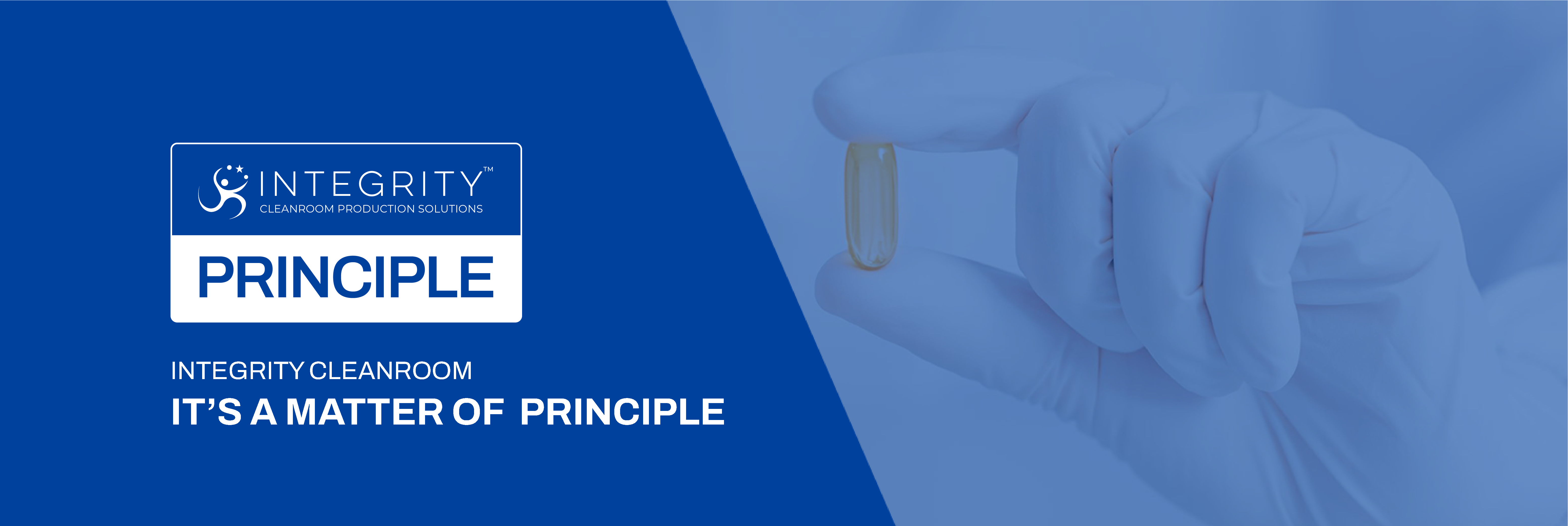 Integrity - Principle Banner - Antistat